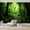 Color 4, variant on Wallpaper Tropical Waterfalls Jungle foliage dense trees Verdant Peel and Stick Wall Murals 100"H x 144"W Removable PVC Wall Paper Self-Adhesive Wall Paintings Art Decor for Bedroom Living Room