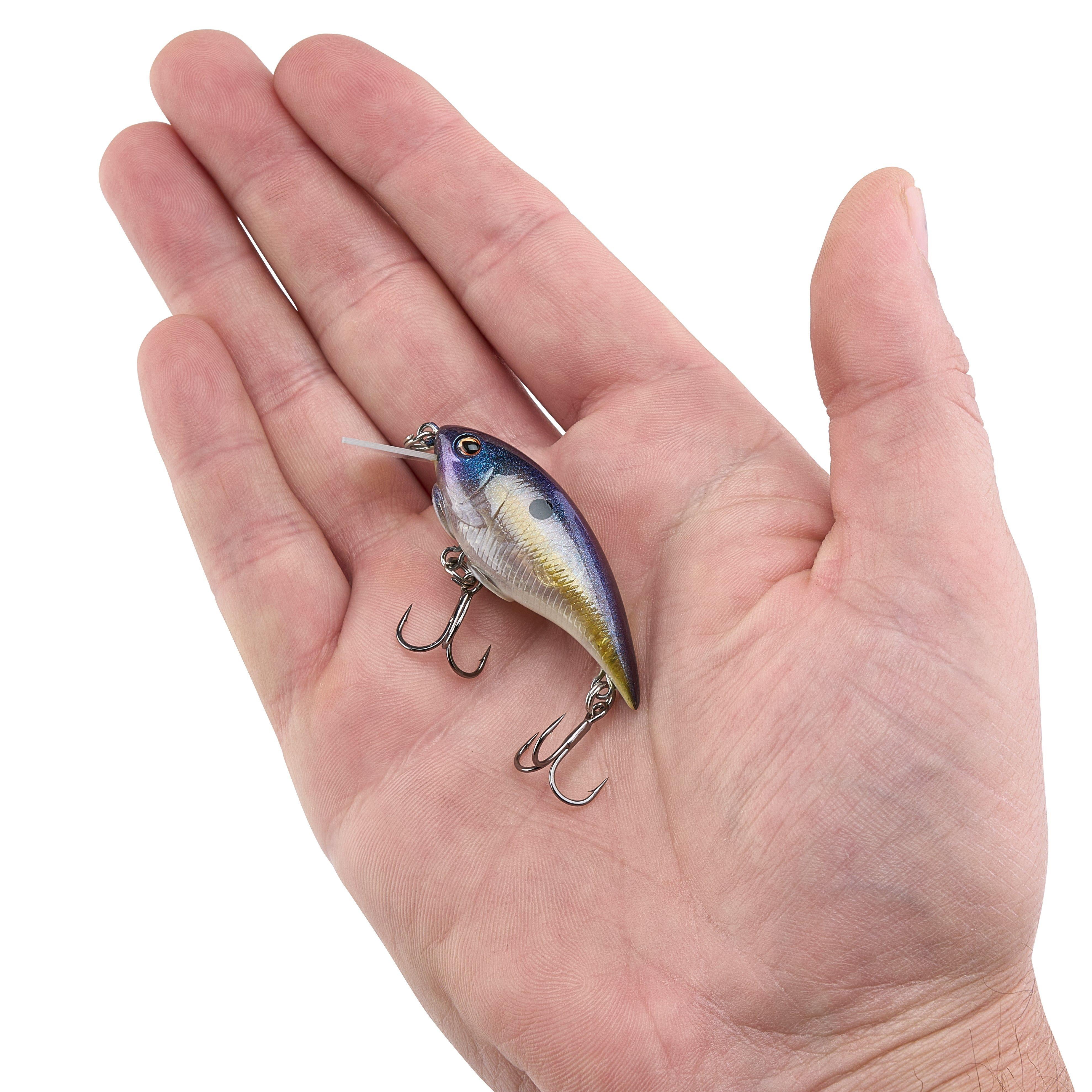 Berkley Shallow Money Badger Fishing Crankbait, 1.5 in, Hybrid Baitfish-Crayfish