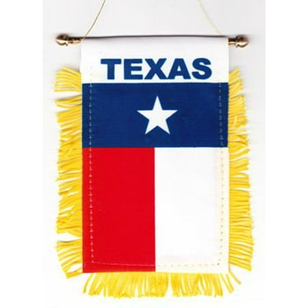 Texas Window Hanging Flag