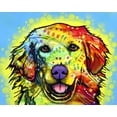 thumbnail image 2 of Dean Russo Collection 18x15 White Modern Wood Framed Museum Art Print Titled - Golden Retriever, 2 of 4