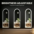 thumbnail image 3 of EDX Arched 63"x 20" LED Full Body Mirror, 3 Color Lighting, Free Standing Wall-Mounted for Home, 3 of 6