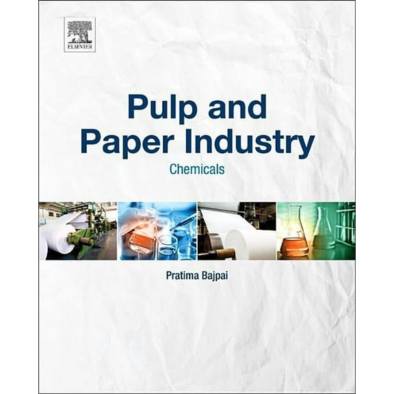 Pulp and Paper Industry: Chemicals, (Hardcover)