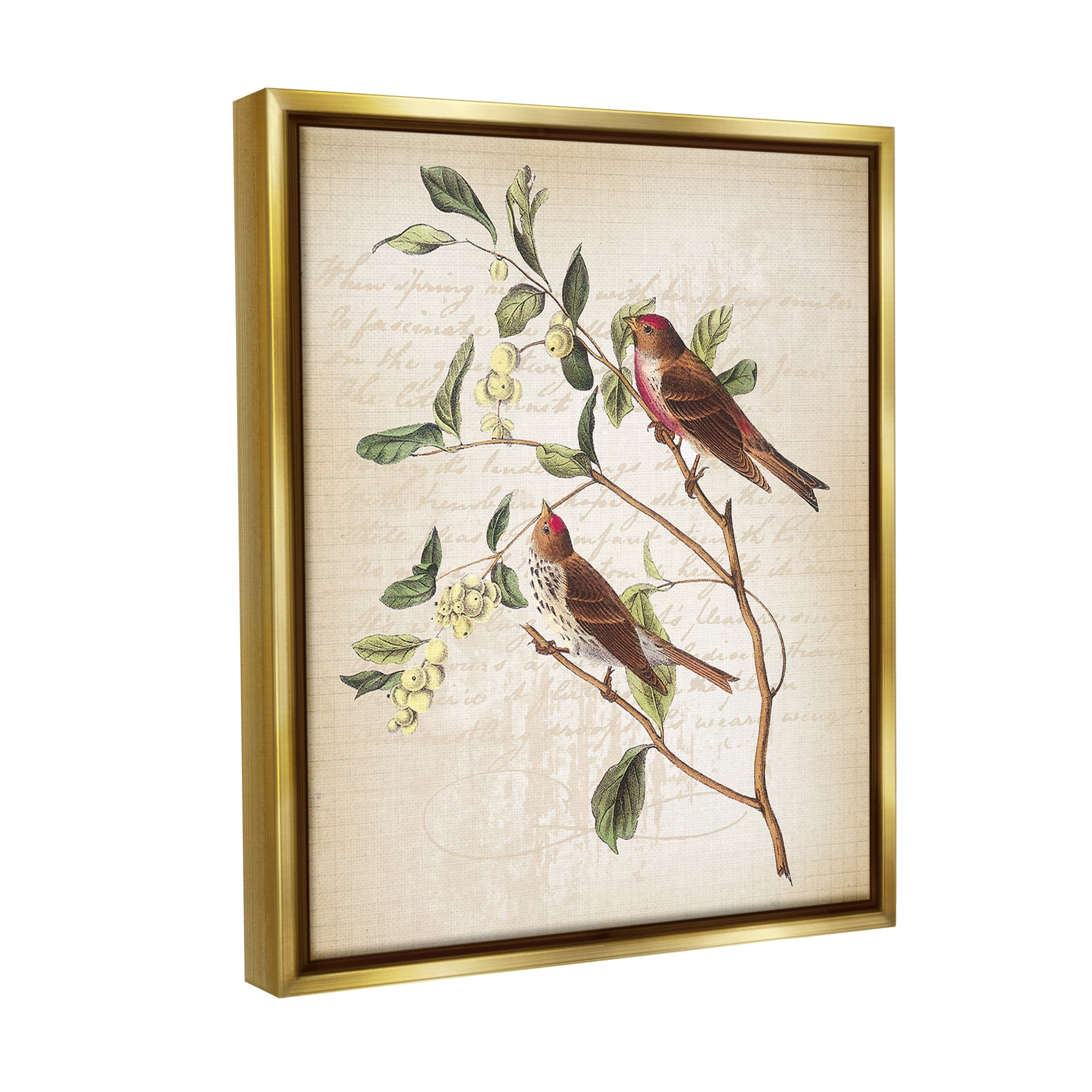 Stupell Industries Birds with Vintage Cursive Animals & Insects Painting Gold Floater Framed Canvas Art Print Wall Art, 17 x 21