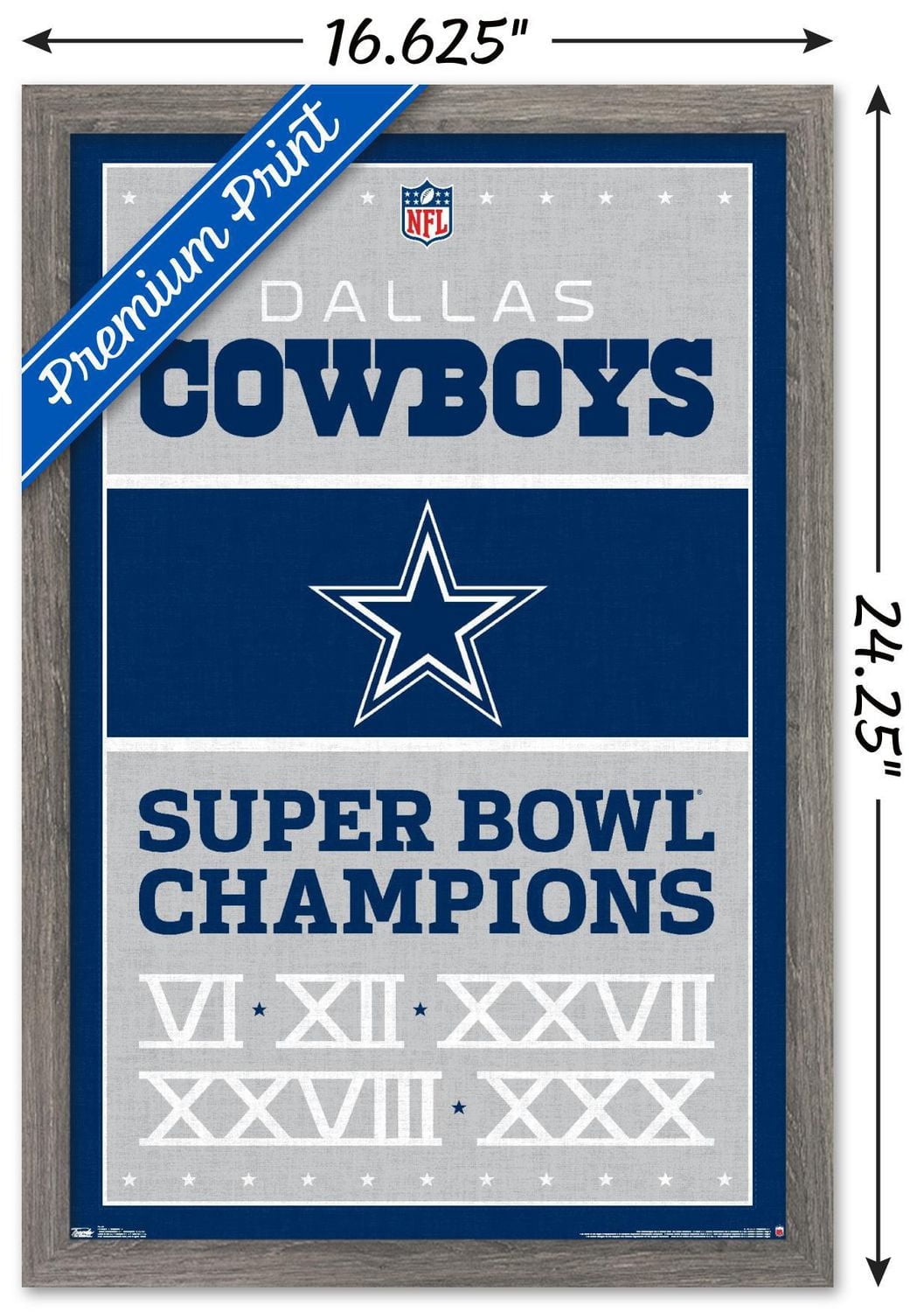 NFL Dallas Cowboys - Champions 13 Wall Poster