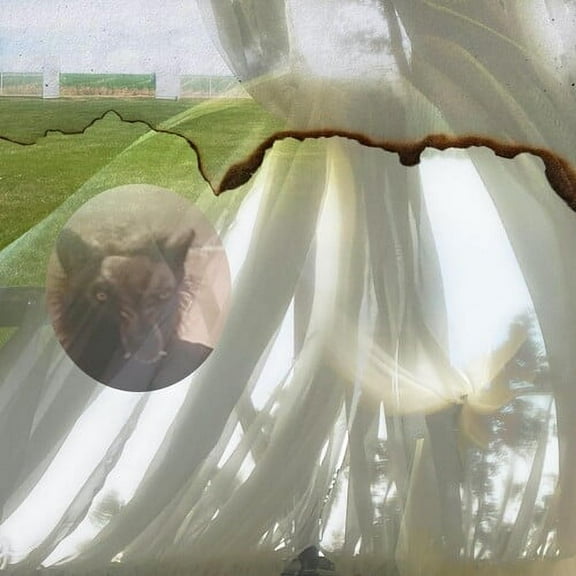 Credit Electric - Six - Rock - CD