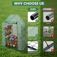 thumbnail image 5 of Greenhouse for Outdoors,55 x 28 78'' Small Greenhouse,Walk in Plant Greenhouses with 3 Tiers 6 Shelves,Heavy Duty Durable PE Cover,Heavy Garden and Backyard, 5 of 5