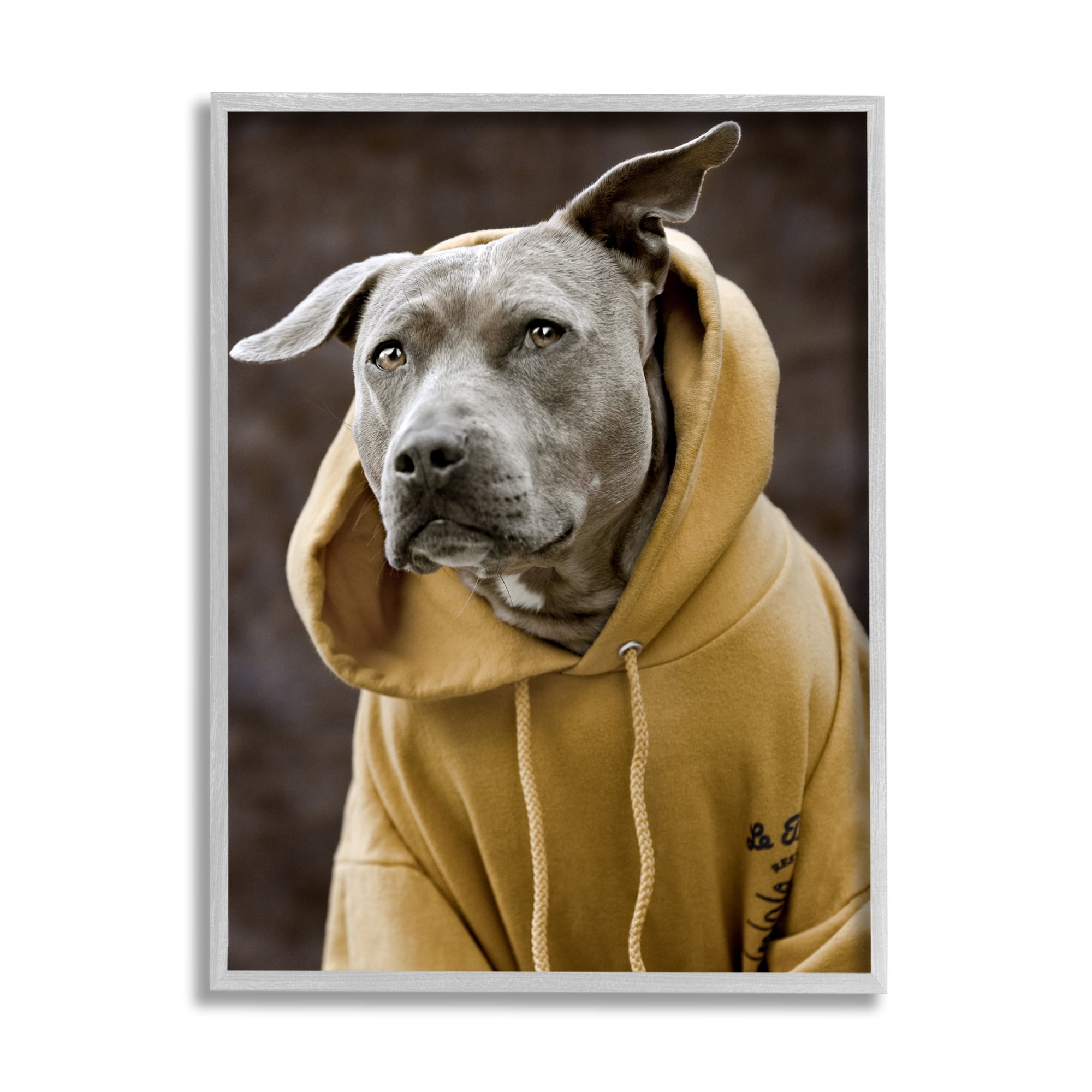 Stupell Industries Smiling Labrador Dog Wearing Hooded Yellow Sweatshirt Photograph Gray Framed Art Print Wall Art, Design by Michael Brian