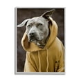 thumbnail image 4 of Stupell Industries Smiling Labrador Dog Wearing Hooded Yellow Sweatshirt Photograph Gray Framed Art Print Wall Art, Design by Michael Brian, 4 of 5