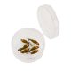 thumbnail image 1 of Naiovety Anzuelo de mosca de felpa con cebo de conejo esencial para pesca con corriente de Metal, materiales de mordida efectiva, 6 uds. Pescar color oliva doce, 1 of 6