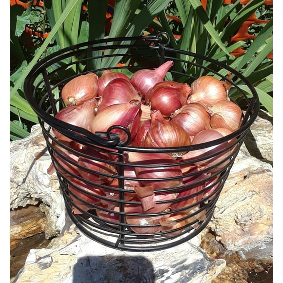 Granulated Air-Dried Shallots, Natural and Hand Picked 2.8 Oz (80 g), Resalable Pouch, Best to add to Yoghurt, Persian Cuisine