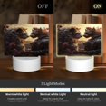 thumbnail image 3 of Fotbe Romantic Flower Lion Couple Pattern Acrylic Night Light Gift with 3 Color ModesTouch-Sensitive LED Lamp Perfect Gift for Mother's Day, Birthday, or Christmas, 3 of 9
