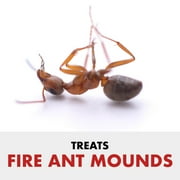 Spectracide Fire and Ant Shield Mound Destroyer Granules, Kills Ants, 7lbs