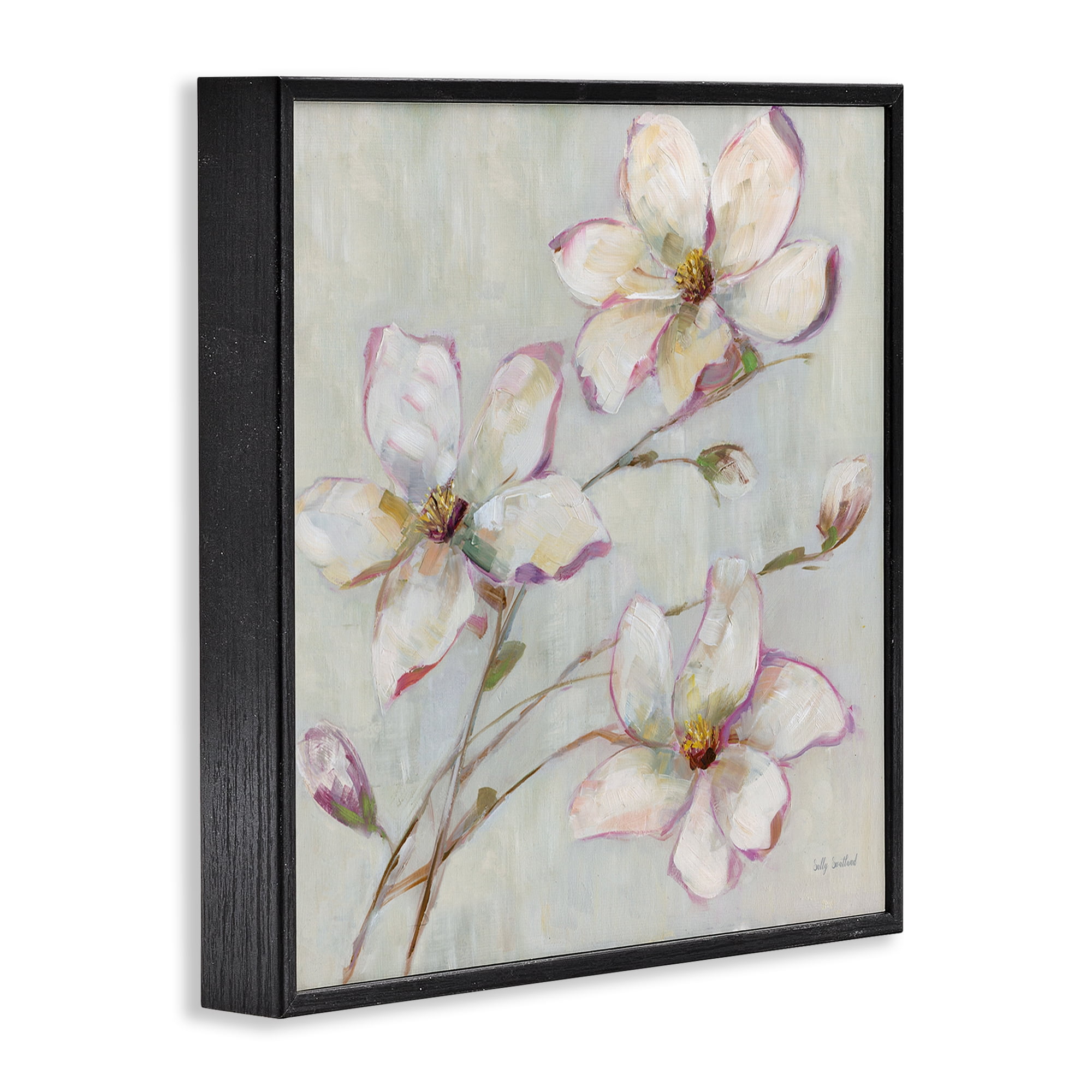 Stupell Industries Apple Blossom Botanicals Botanical & Floral Painting Black Framed Art Print Wall Art, 12 x 12