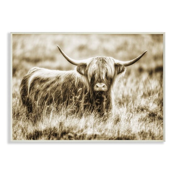 Stupell Industries Vintage Cow In Pasture Animal Photo Wall Plaque Art by Villager Jim