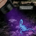 thumbnail image 4 of HIBIBUD 2026 New Uv Led Scorpion Detector Hunter Finder Ultra Violet Blacklight Flashlight for Camping, Backyard, Hiking, Night Exploration, 1 Pack, 4 of 7