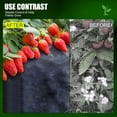 thumbnail image 6 of Weed Barrier Fabric, Heavy Duty Woven Polypropylene Landscape Fabric, Blocks Weeds, Air & Water Permeable for Gardens, Flower Beds, Pathways （3x30ft）, 6 of 7