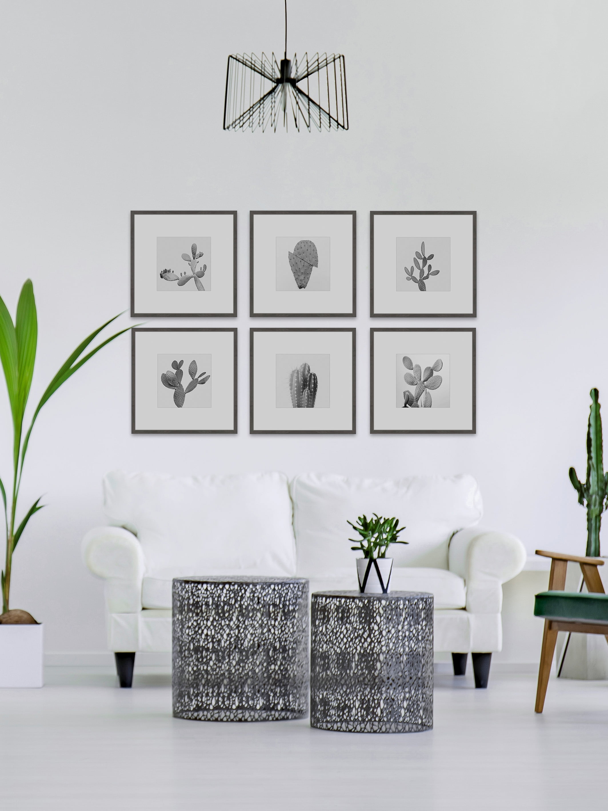 Cactus Variety Ii He x aptych, Art Prints, 54.00" x 1.50"