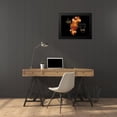 thumbnail image 4 of Allen, Kimberly 24x19 Black Modern Framed Museum Art Print Titled - Be Still Spice floral v2, 4 of 5