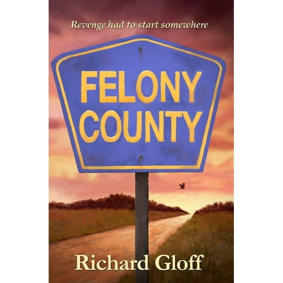 Felony County : Revenge had to start somewhere (Paperback)