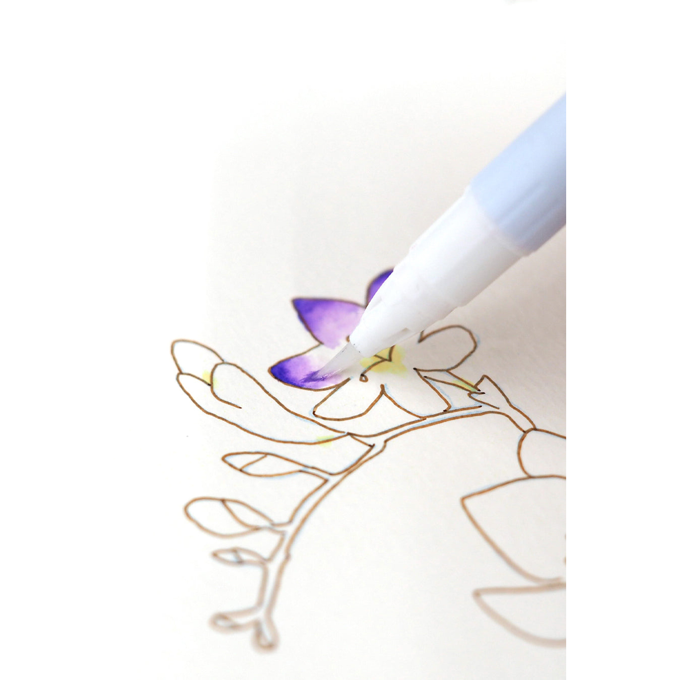 Kuretake ZIG Historic Watercolor 6 Color set- Flower Gradation