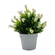 thumbnail image 5 of Kearding Bonsai plástico de imitación de plantas, elegante, de bajo mantenimiento, duradero, duradero, ecológico, plantas Bonsai Type6 NO6, 5 of 6