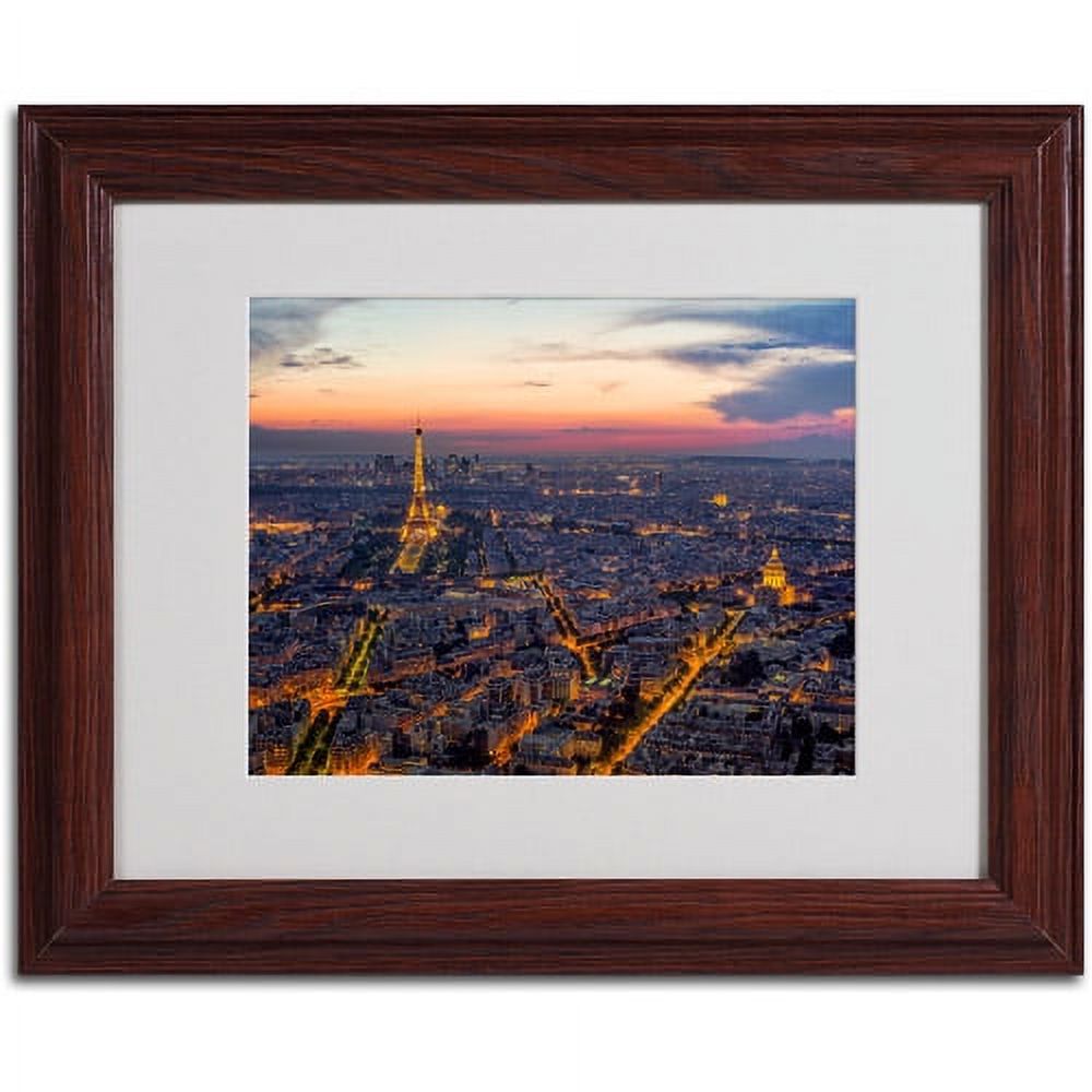 Trademark Fine Art "From the Roofs of Paris" Framed Canvas Art by Mathieu Rivrin