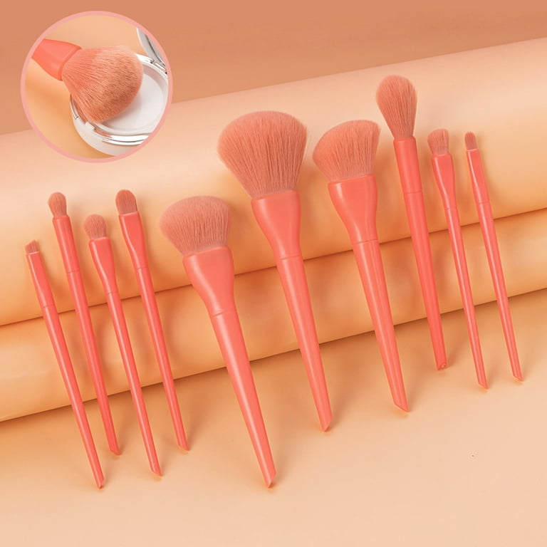 Hesroicy 10pcs Set Ten Makeup Brushes
