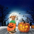 thumbnail image 2 of Ropa De Gato Halloween Carnaval Ropa Divertida Para Mascotas Abrigo De Invierno Perro Disfraz De Halloween Para Perros Pequeños Gatos Cateissary PT001391-02, 2 of 5