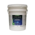 thumbnail image 1 of True Value 341644 Base Semi-Teintée Ec 5 gal EZST-5G, 1 of 1