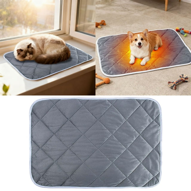 Solution de Chauffage pour Animaux pour Chaleur et Confort Intérieur Extérieur avec Conception Facile à Nettoyer