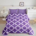 thumbnail image 2 of Manfei Vintage Geometric Art Queen Comforter Set,Abstract bohemian Tribal Bedding Sets,Purple White Bedding Comforter Set For Teens,Ultra Soft Home Decor Reversible,3 Pieces, 2 of 8