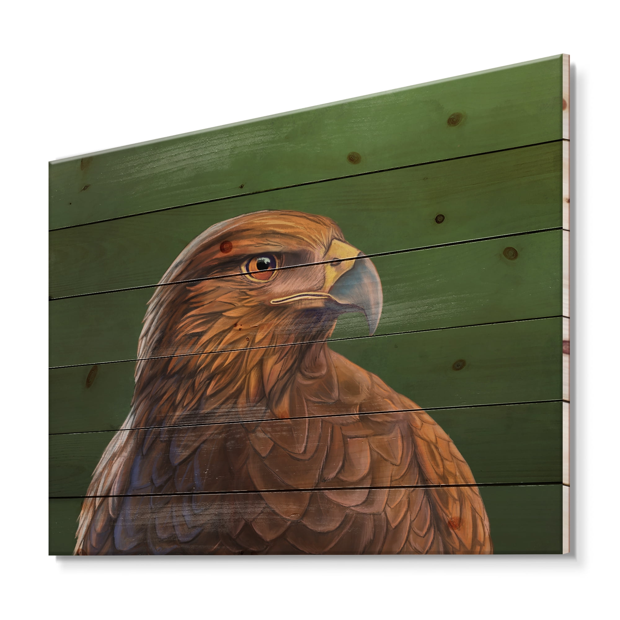 Designart 'Close UP Of Harris Hawk Bird' Traditional Print on Natural Pine Wood