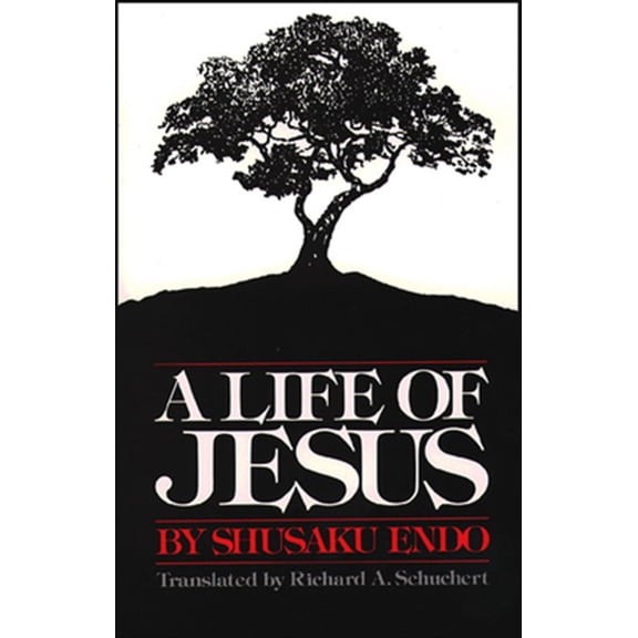 Pre-Owned A Life of Jesus (Paperback) 0809123193 9780809123193