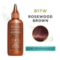thumbnail image 4 of Clairol Professional Beautiful Collection Semi-Permanent Hair Color, Rosewood Brown [B17W] 3 oz, 4 of 4