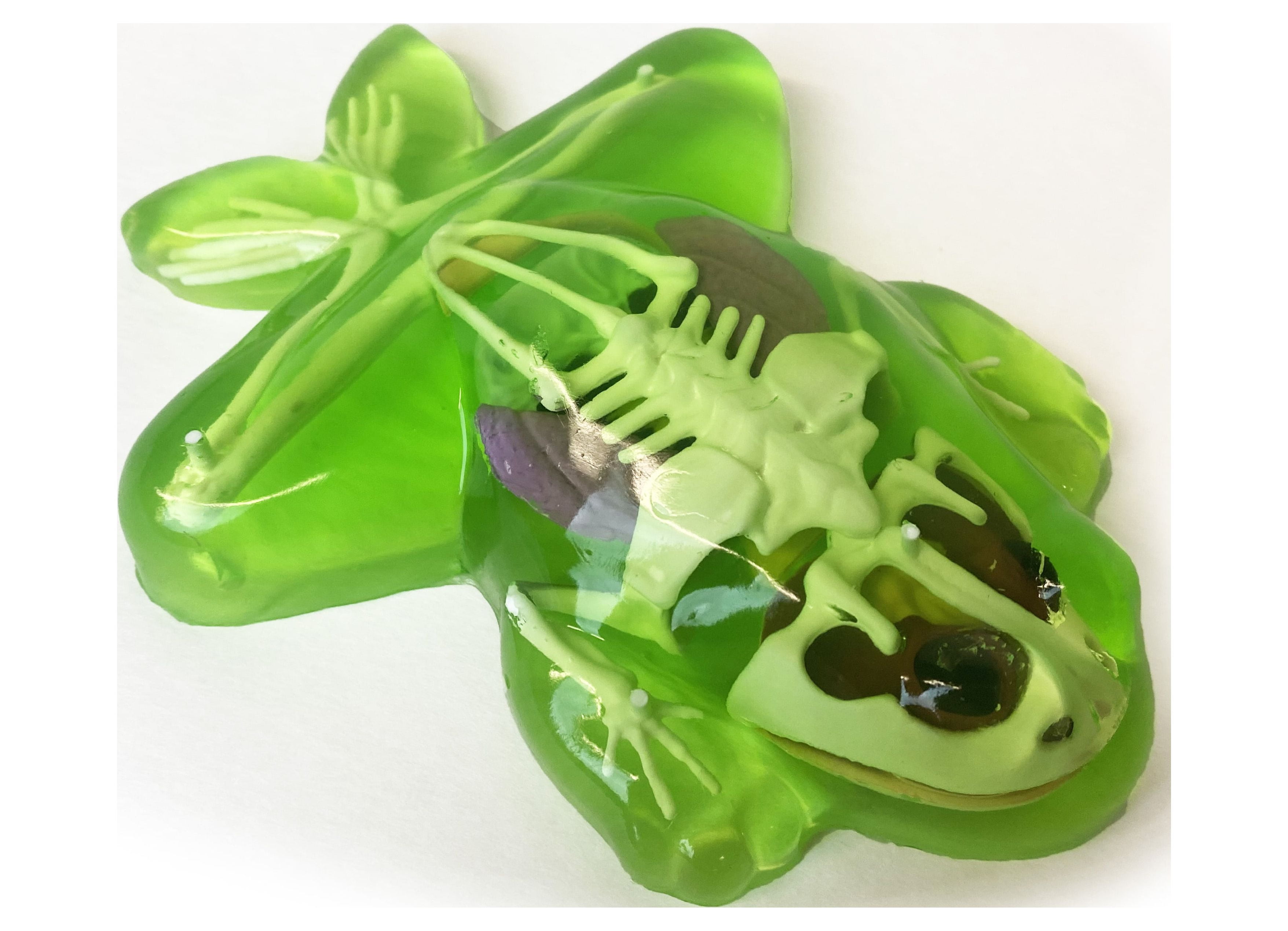 Top Secret Toys DissectIt Simulated Synthetic Lab Dissection Frog, Stem Projects for Child Ages 6+, (图4)