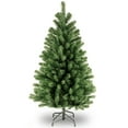 thumbnail image 1 of 4' Épinette de la Vallée Nord Tree, 1 of 5