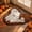 A, variant on Halloween Ghost Walking Puppies Shaggy Doormat, Cute Ghost Dog Decorative Floor Rug, Non Slip Fluffy Bath Mat, for Entryway, Bathroom, Fall Farmhouse Home Decor