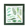 thumbnail image 5 of Wrapables Washi Scrapbooking Stickers Box Set, Green Plants (20 Sheets), 5 of 7