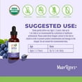 thumbnail image 4 of MaryRuth Organics Infant Iron Drops Kids Vitamins for Toddlers Vegan Gluten-Free Unisex, Cellular Metabolism Overall Health, 2 fl oz, 4 of 10