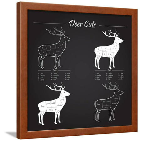 Deer Meat Cut Scheme Framed Print Wall Art By