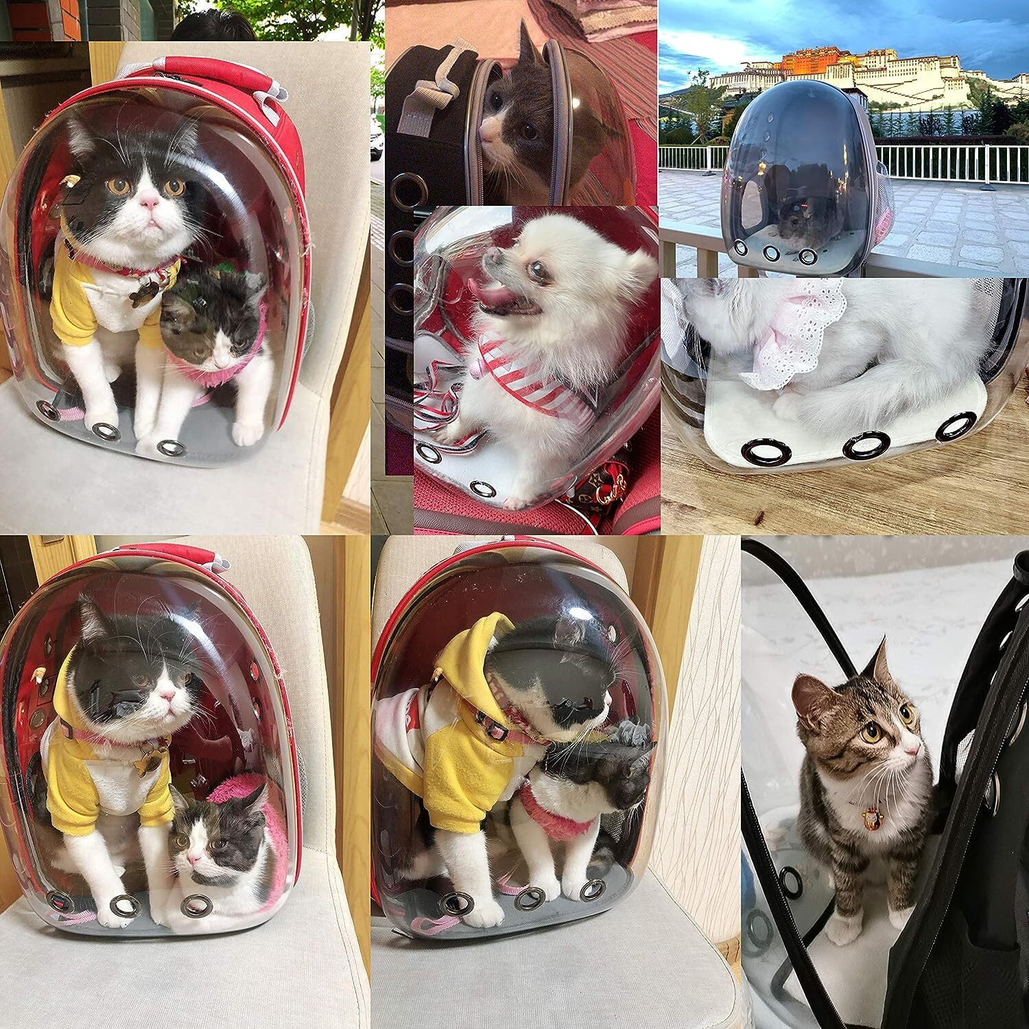 Wattne Travel Backpack Bubble Carrying Bag for Small Medium Dogs Cats, Space Capsule Pet Carrier Dog for Hiking, Airline Approved - Red