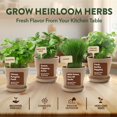 thumbnail image 3 of Kit de macetas para huerto de hierbas de interior HOME GROWN con 4 semillas de hierbas, 3 of 8