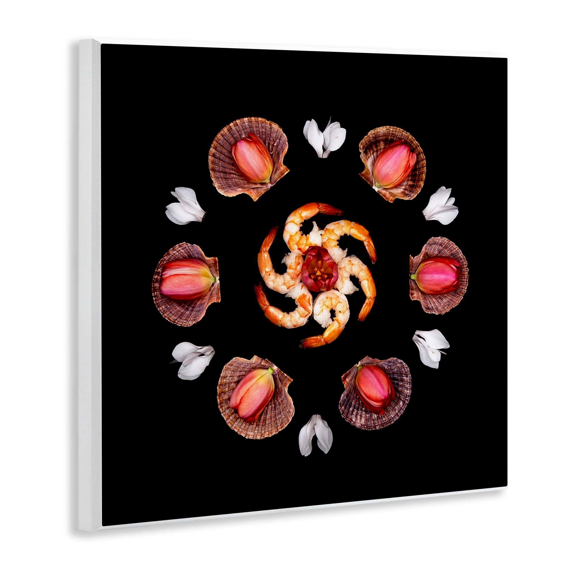 Stupell Industries Seashells & Tulips Symmetry Wall Plaque Art, design by Beth Adoette