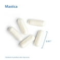 thumbnail image 4 of Allergy Research Group Mastica - Mastic Gum Capsules, Digestive Health Supplement for Adults, Mastic Resin Powder Capsules for Gut Health Support - 120 Count, 4 of 6