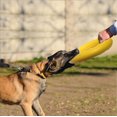thumbnail image 5 of Anillo de fitness para perros, equipo de ejercicio de agilidad para perros, anillo de entrenamiento interactivo de tira y afloja para perros pequeños y grandes, 5 of 5