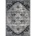 thumbnail image 1 of Amer Rug ALX490203 2 x 3 ft. Ale x andria 49 Power-Loomed Area Rug - Dark Gray, 1 of 1