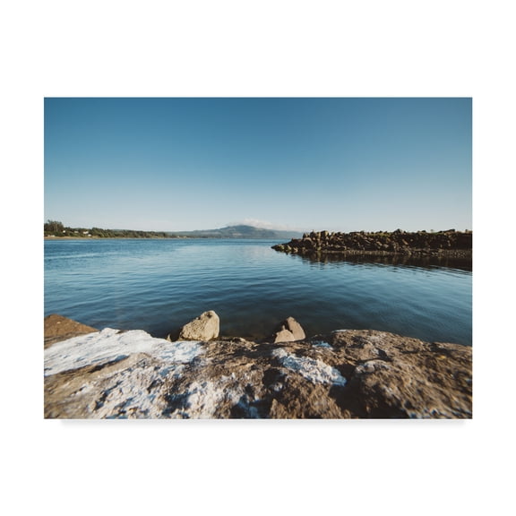 Trademark Fine Art 'Pacific Northwest Oregon IX' Canvas Art by Adam Mead