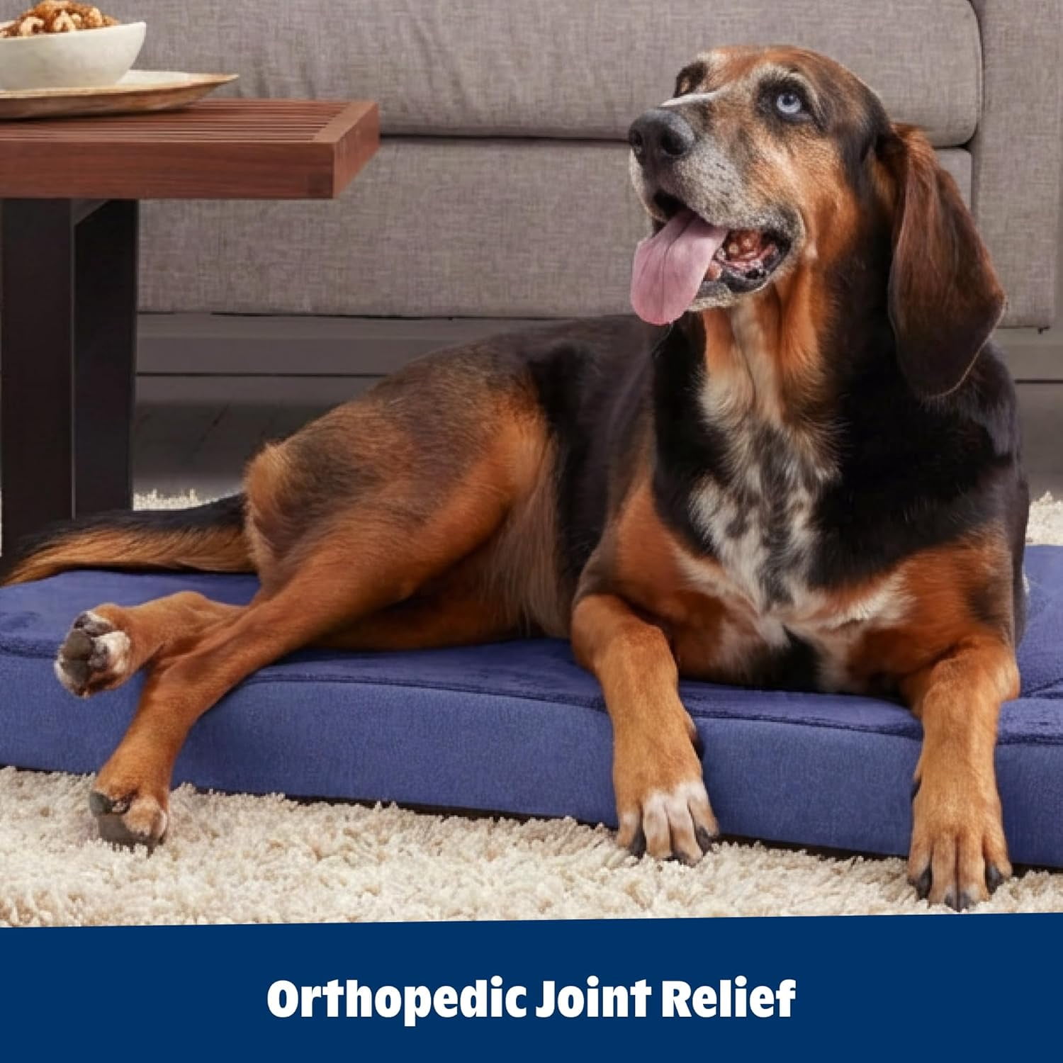 Orthopedic Dog Bed with Memory Foam, Premium Comfort for Joint Relief and Restful Sleep, Durable and Easy to Clean - Navy, Medium