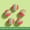 30#B89#, variant on Silent Cat Toy Elastic Micro Balls Set Indoor Play, Quiet Bounce Safe Self Entertainment Colorful Lightweight Easy Carry Stimulate Instinct, For Cats Indoor Independent Play Stress Relief