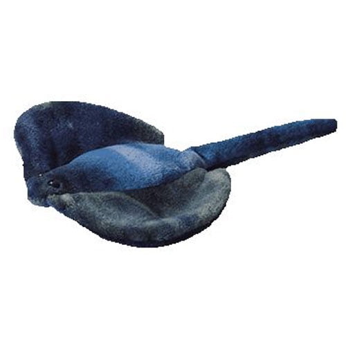 stingray beanie baby
